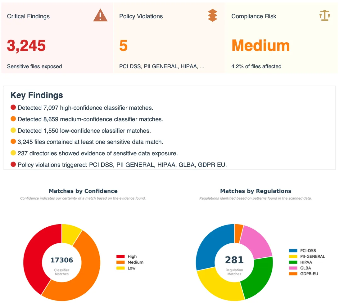 Risk Finder Executive Dashboard showing sensitive data findings